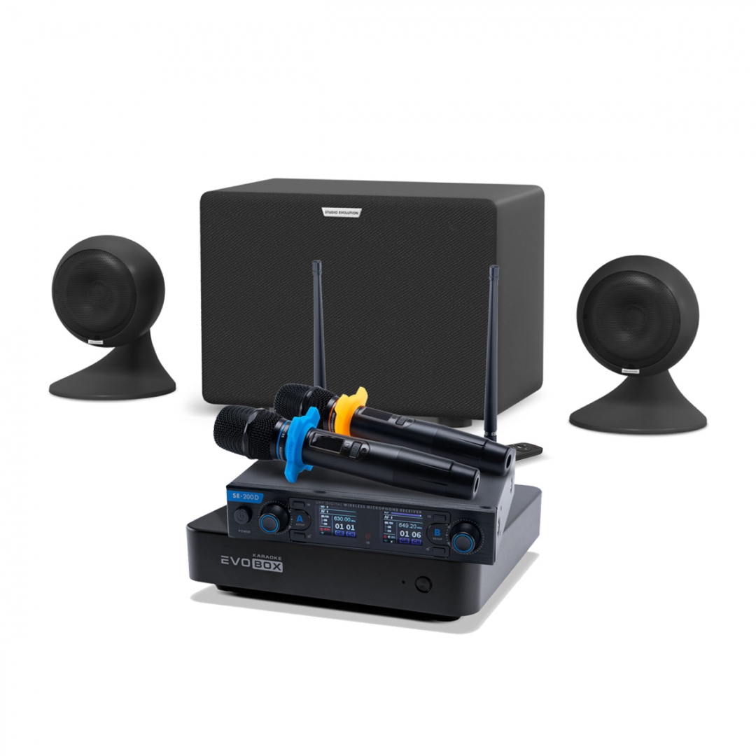 караоке-комплект EVOBOX + EvoSound Sphere 2.1 в Жуковском
