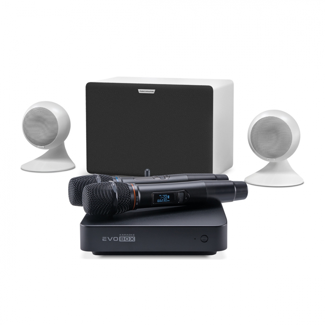 караоке-комплект EVOBOX Classic + EvoSound Sphere 2.1 в Жуковском