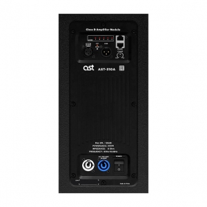 Активная акустическая система AST-310A в Жуковском