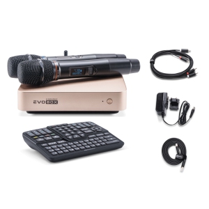 EVOBOX Classic караоке-система для дома в Жуковском